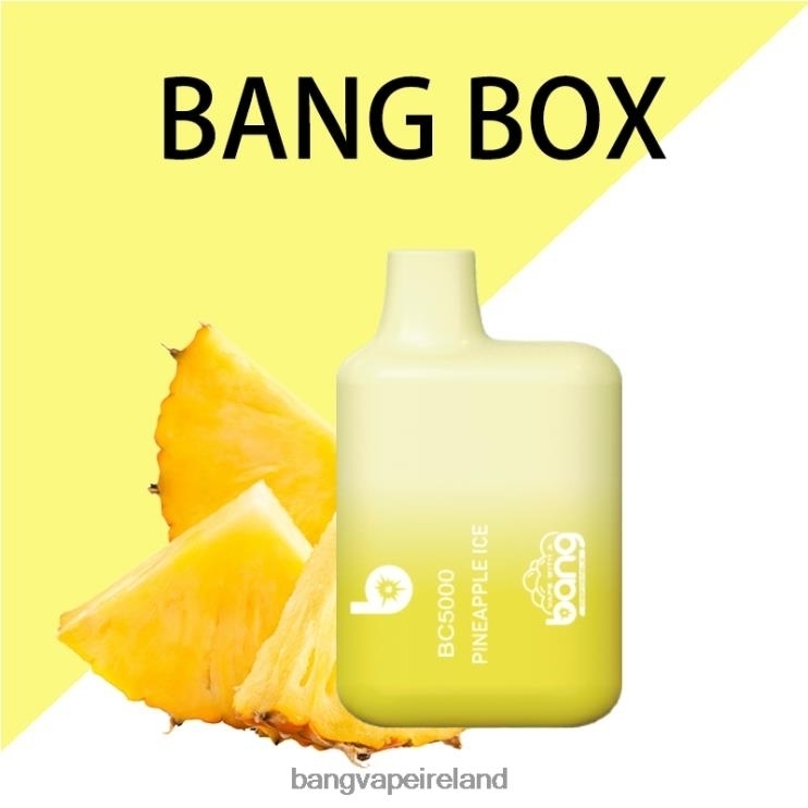 Bang Vape Disposable - Bang Vape Box BC5000 5% Nic 5000 puffs Pen Type-C Rechargeable Disposable 2FNHP9