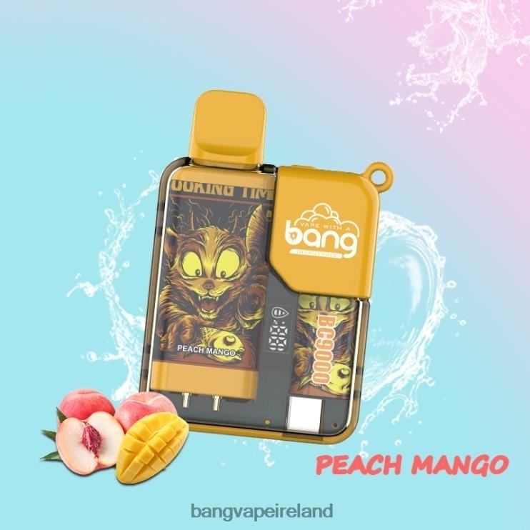 Gang Vape Price - Bang Vape Box BC9000 Prefilled 16ml Disposable 2FNHP6