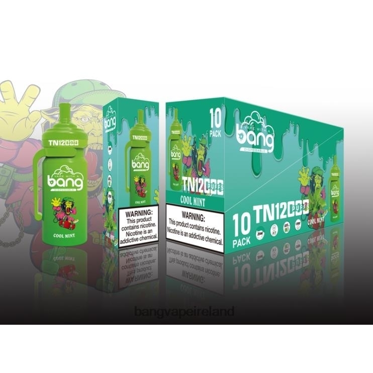 Vape Gang Dublin - Bang Vape TN12000 Pod with Mesh Coil Disposable 2FNHP5
