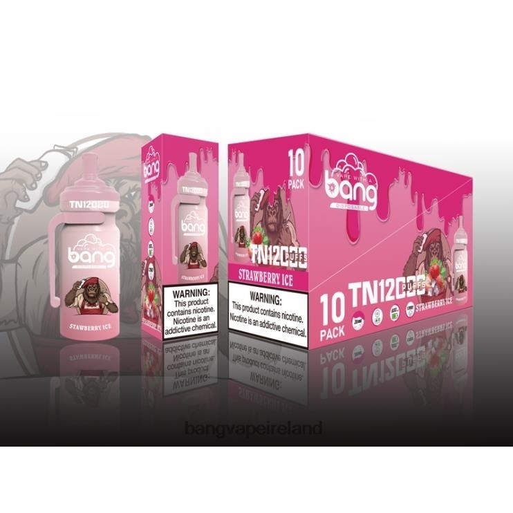 Vape Gang Dublin - Bang Vape TN12000 Pod with Mesh Coil Disposable 2FNHP5