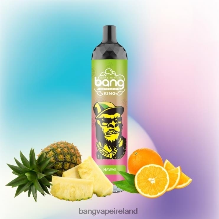 Vape Gang Flavors - Bang Vape King 6000 puffs 5% Nic Rechargeable Type-C Disposable 2FNHP8