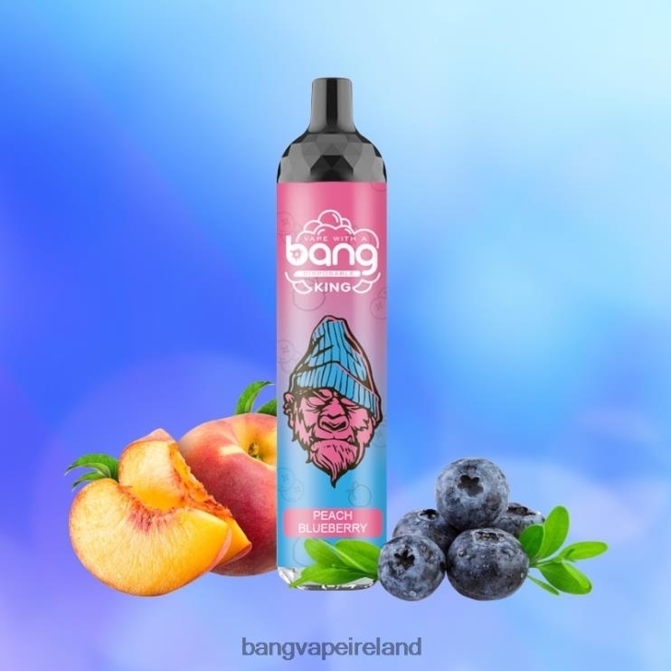 Vape Gang Flavors - Bang Vape King 6000 puffs 5% Nic Rechargeable Type-C Disposable 2FNHP8