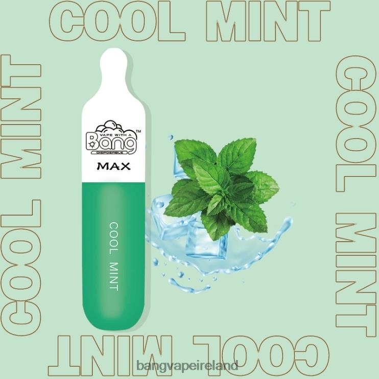 Vape Gang Ireland - Bang Vape Max 5000 Puff Bar Disposable 2FNHP10