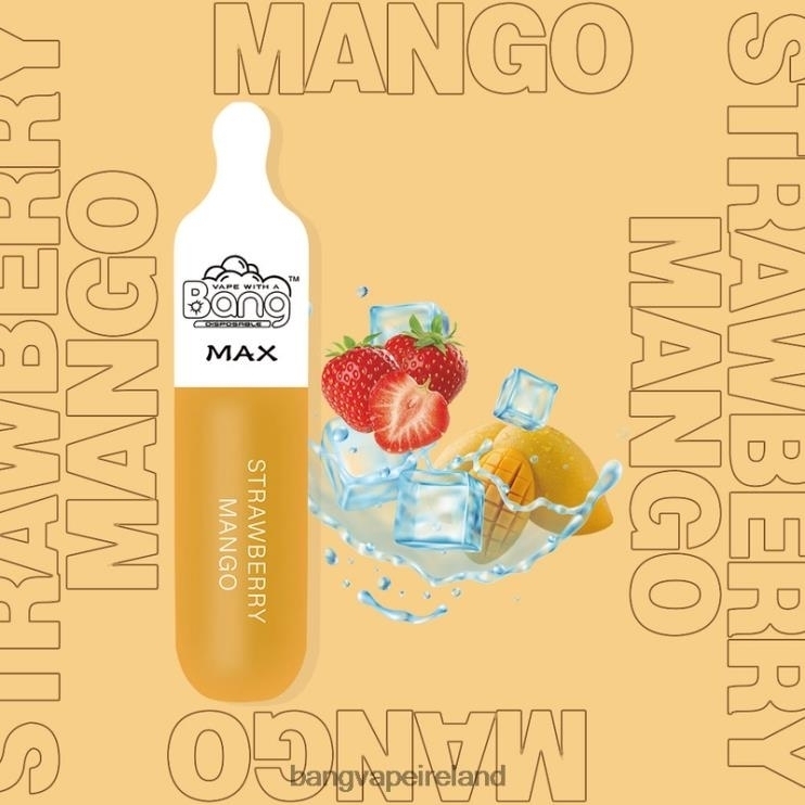 Vape Gang Ireland - Bang Vape Max 5000 Puff Bar Disposable 2FNHP10