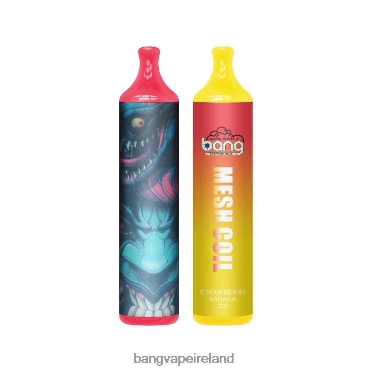 Vape Gang Shop - Bang Vape Mesh Coil 3500 puffs 2% Nic Disposable 2FNHP7
