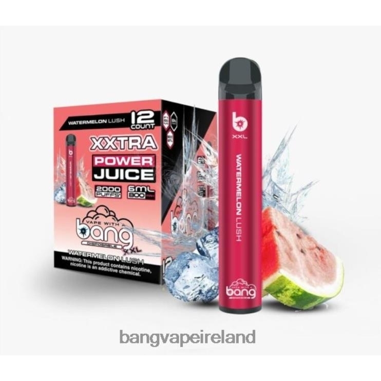 Vape Gang Flavors - Bang Vape XXL 2000 puffs Watermelon Lush 2FNHP26