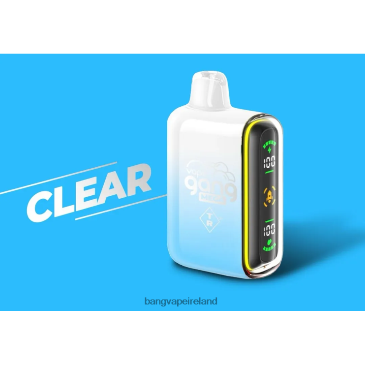 Bang Vape Disposable - Vape Gang MEGA 20,000 puffs Disposable Vape (Box of 5) Clear 2FNHP56