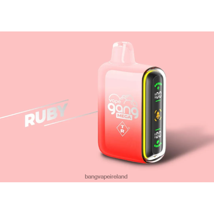 Bang Vape Ireland - Vape Gang MEGA 20,000 puffs Disposable Vape (Box of 5) Ruby 2FNHP58