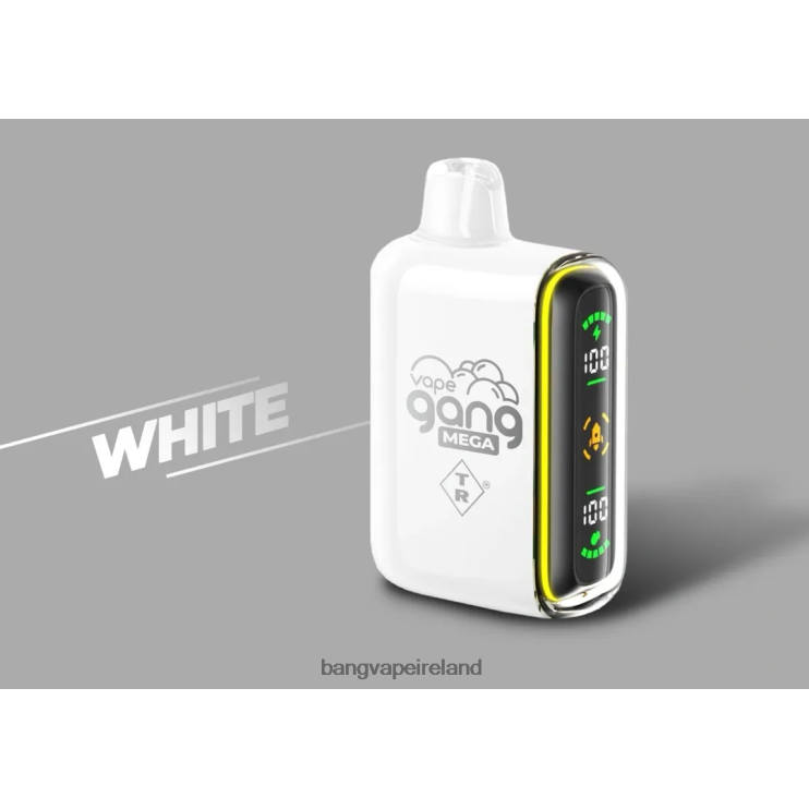 Vape Gang Disposables - Vape Gang MEGA 20,000 puffs Disposable Vape (Box of 5) White 2FNHP60
