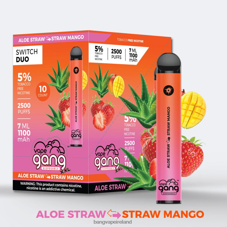 Bang Vape Ireland - Vape Gang Switch Duo 2 flavors (Box of 10) Aloe Strawberry - Strawberry Mango 2FNHP38