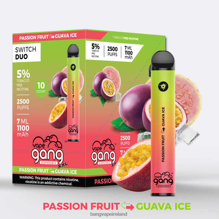 Vape Gang Flavors - Vape Gang Switch Duo 2 flavors (Box of 10) Passionfruit - Guava Ice 2FNHP44