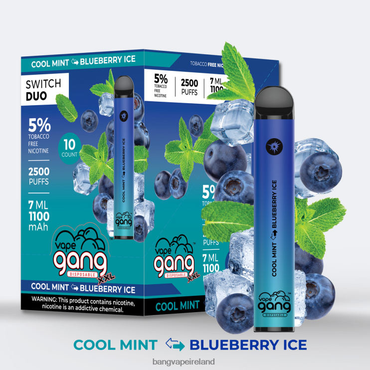 Vape Gang Shop - Vape Gang Switch Duo 2 flavors (Box of 10) Cool Mint - Blueberry Ice 2FNHP43