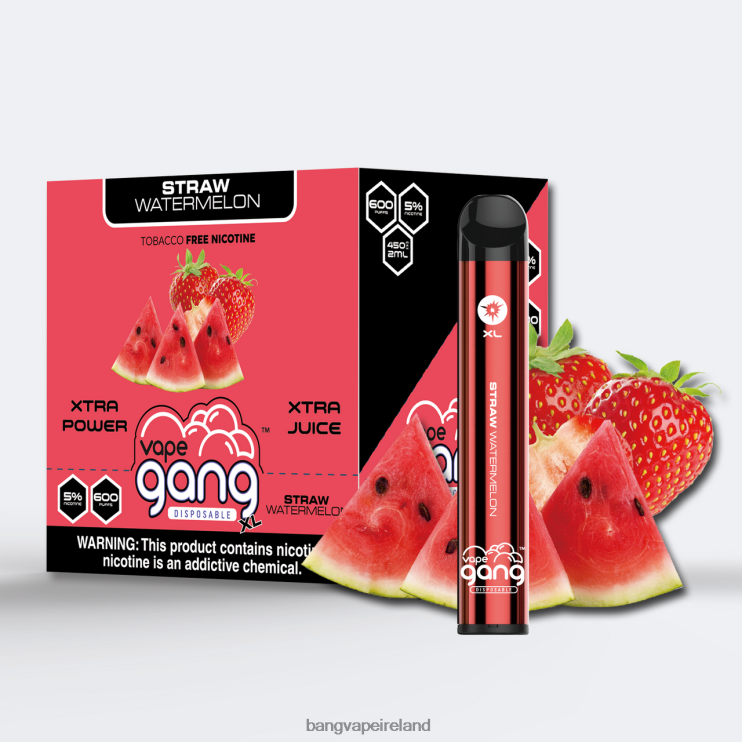 Bang Vape Disposable - Vape Gang XL Disposable Vapes 600 puffs (Box of 10) Straw Watermelon 2FNHP74