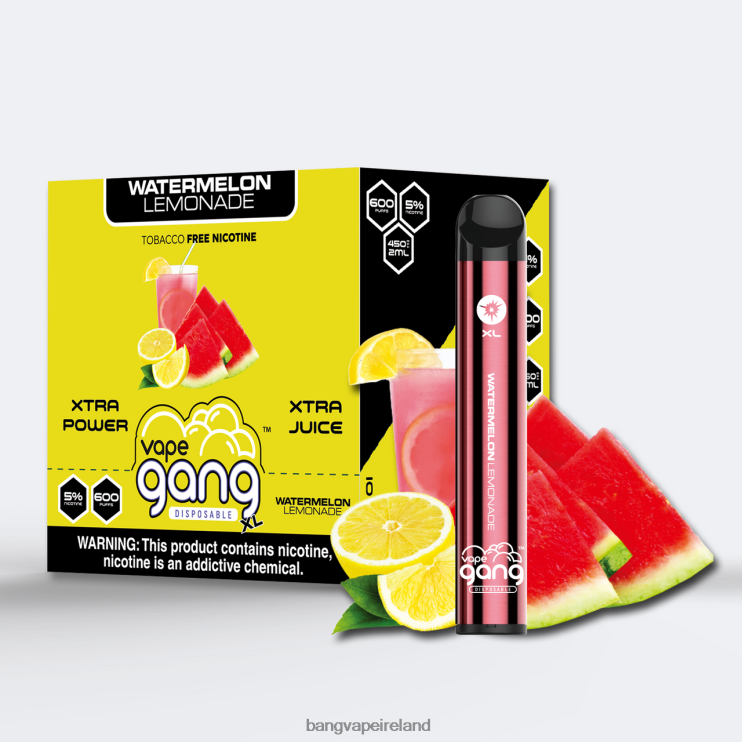 Bang Vape Disposable - Vape Gang XL Disposable Vapes 600 puffs (Box of 10) Watermelon Lemonade 2FNHP65