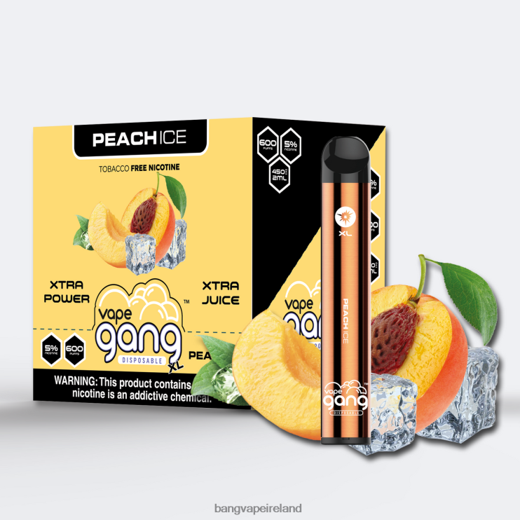 Bang Vape Dublin - Vape Gang XL Disposable Vapes 600 puffs (Box of 10) Peach Ice 2FNHP77