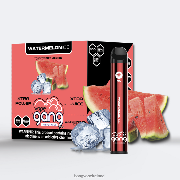 Bang Vape Ireland - Vape Gang XL Disposable Vapes 600 puffs (Box of 10) Watermelon Ice 2FNHP76
