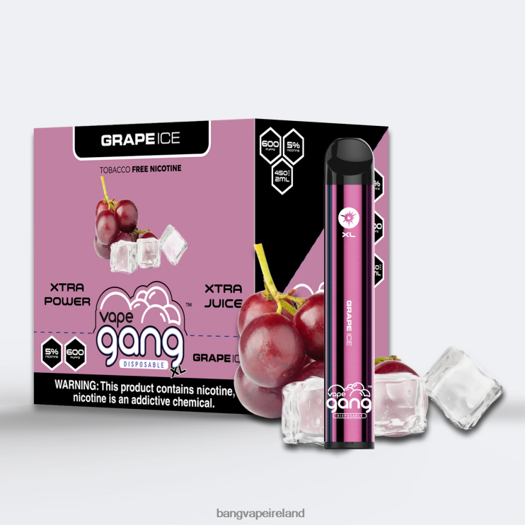 Gang Vape Price - Vape Gang XL Disposable Vapes 600 puffs (Box of 10) Grape Ice 2FNHP62