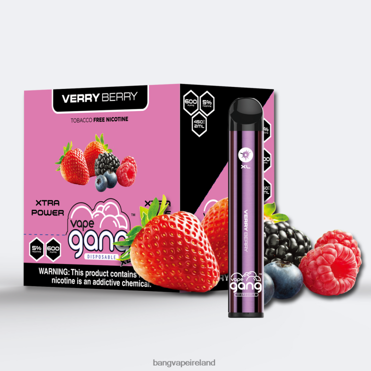 Vape Gang Disposables - Vape Gang XL Disposable Vapes 600 puffs (Box of 10) Verry Berry 2FNHP69