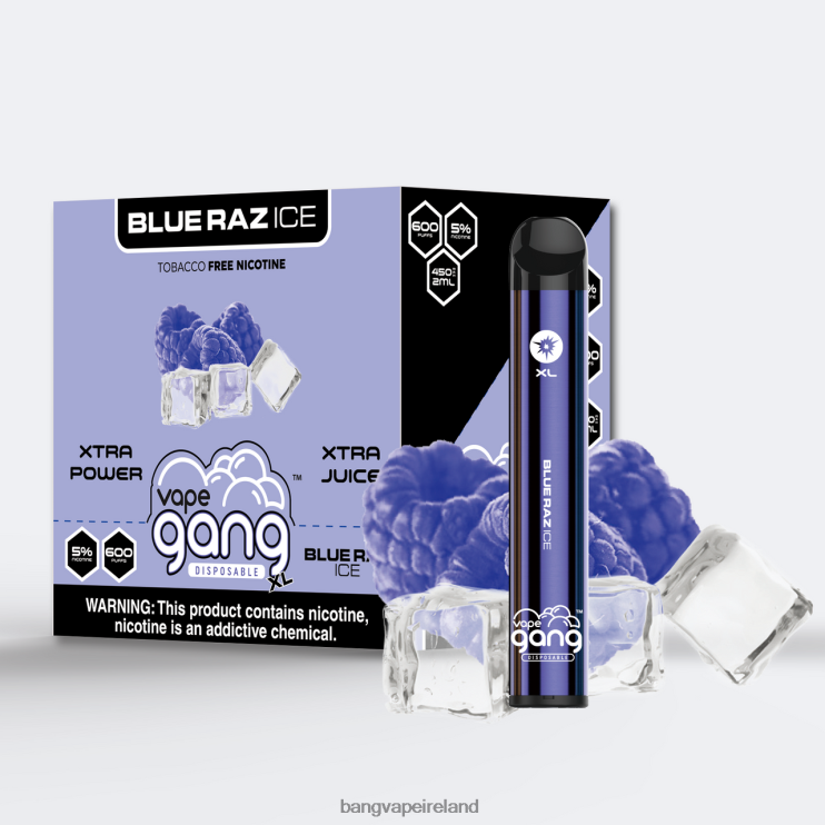 Vape Gang Dublin - Vape Gang XL Disposable Vapes 600 puffs (Box of 10) Blue Raz Ice 2FNHP61
