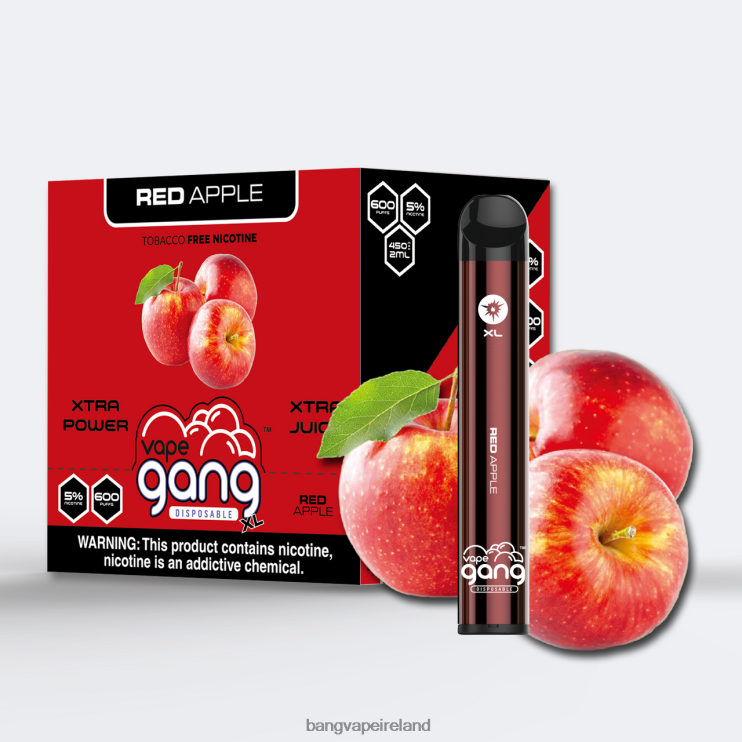Vape Gang Flavors - Vape Gang XL Disposable Vapes 600 puffs (Box of 10) Red Apple 2FNHP73