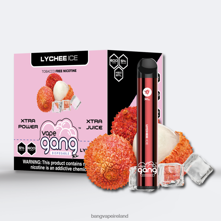Vape Gang Ireland - Vape Gang XL Disposable Vapes 600 puffs (Box of 10) Lychee Ice 2FNHP75