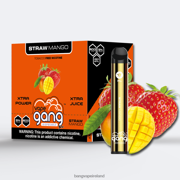 Vape Gang Ireland - Vape Gang XL Disposable Vapes 600 puffs (Box of 10) Straw Mango 2FNHP66