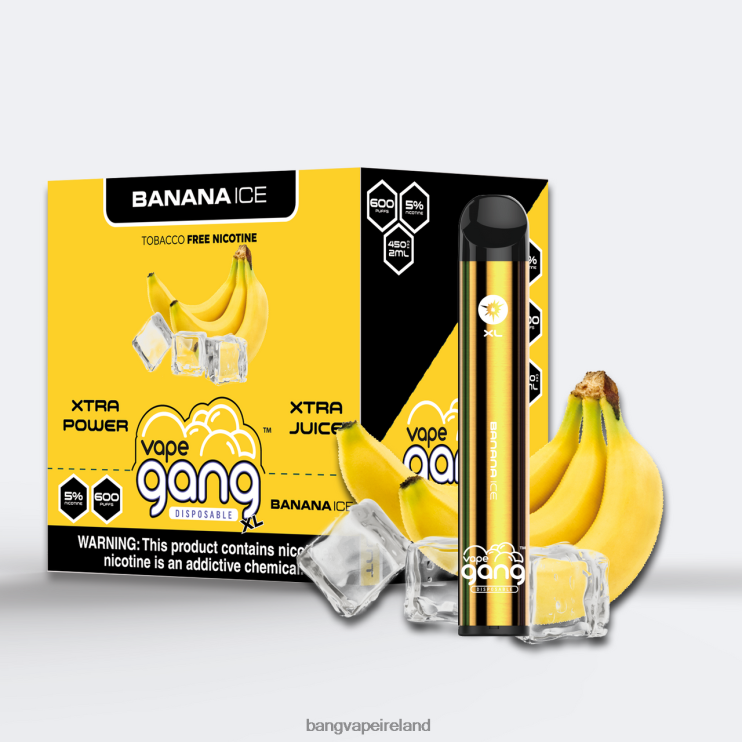 Vape Gang Shop - Vape Gang XL Disposable Vapes 600 puffs (Box of 10) Banana Ice 2FNHP63