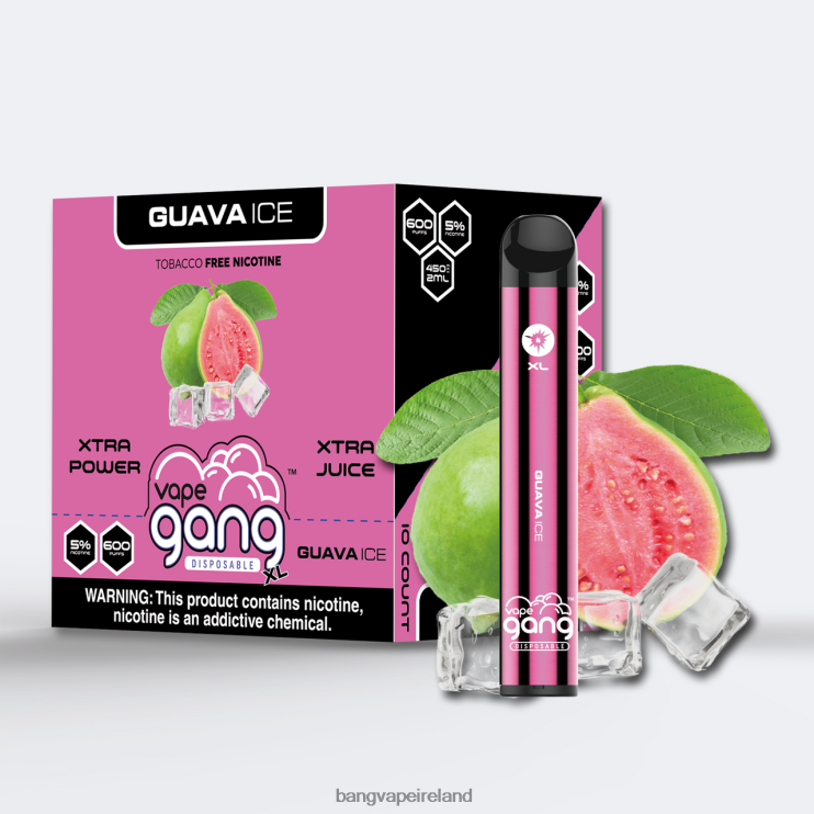 Vape Gang Shop - Vape Gang XL Disposable Vapes 600 puffs (Box of 10) Guava Ice 2FNHP72